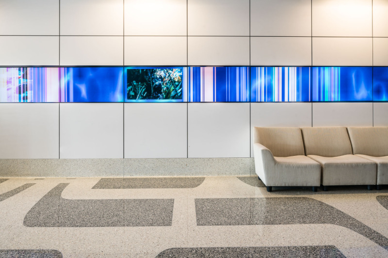 20161119DSC06634-296